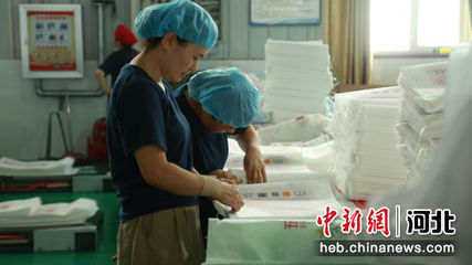 河北定兴 无纺布面粉包装袋产业蓬勃发展，年产值达2.2亿元